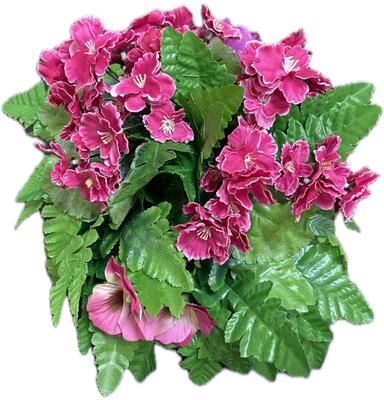 Ритуал архив